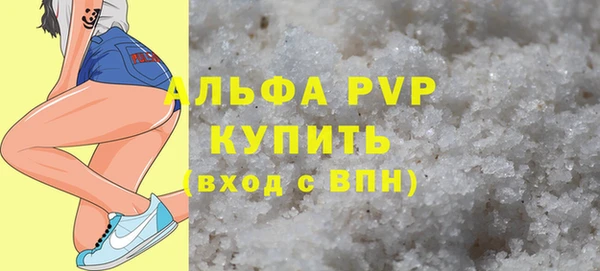 шишки Богородицк